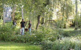 _DSC5371-Panorama.jpg