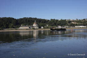 _D008224.jpg