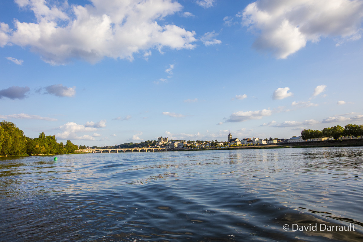 _D008907.jpg