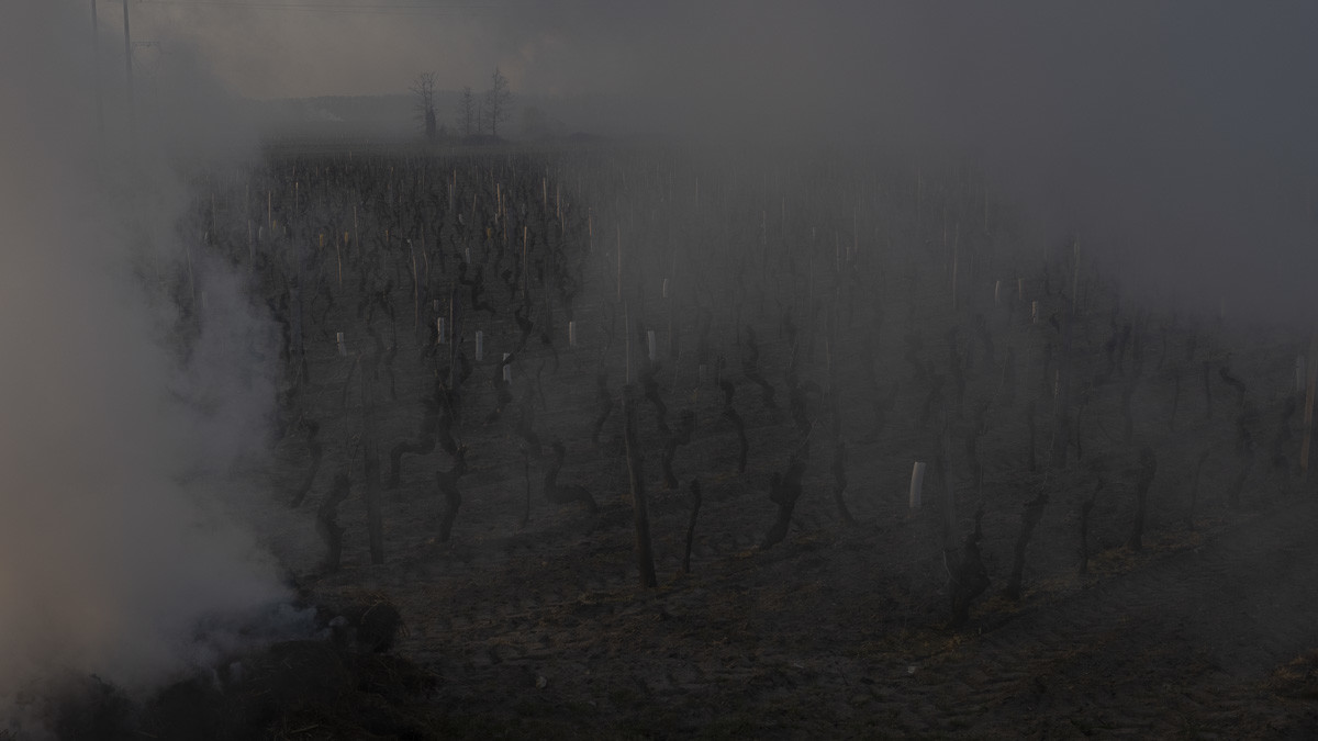 _H6A0300_web.jpg