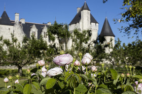 Fête des roses château du Rivau