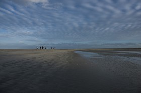 _DSC5842.jpg