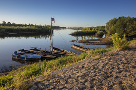 _D003704.jpg