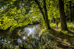_H6A7695_web.jpg