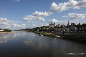 _D008836.jpg