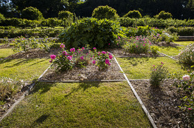 Fête des roses château du Rivau