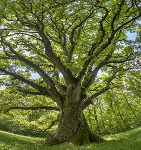 _D801675-Panorama-Modifier.jpg