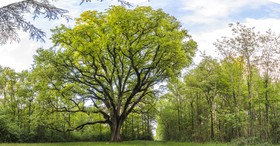 _D801450-Panorama.jpg