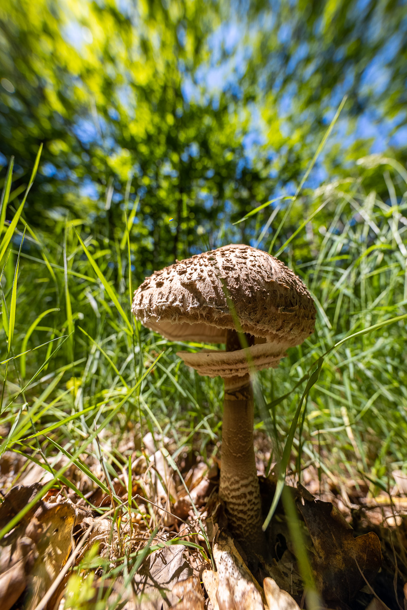 _H6A8102.jpg
