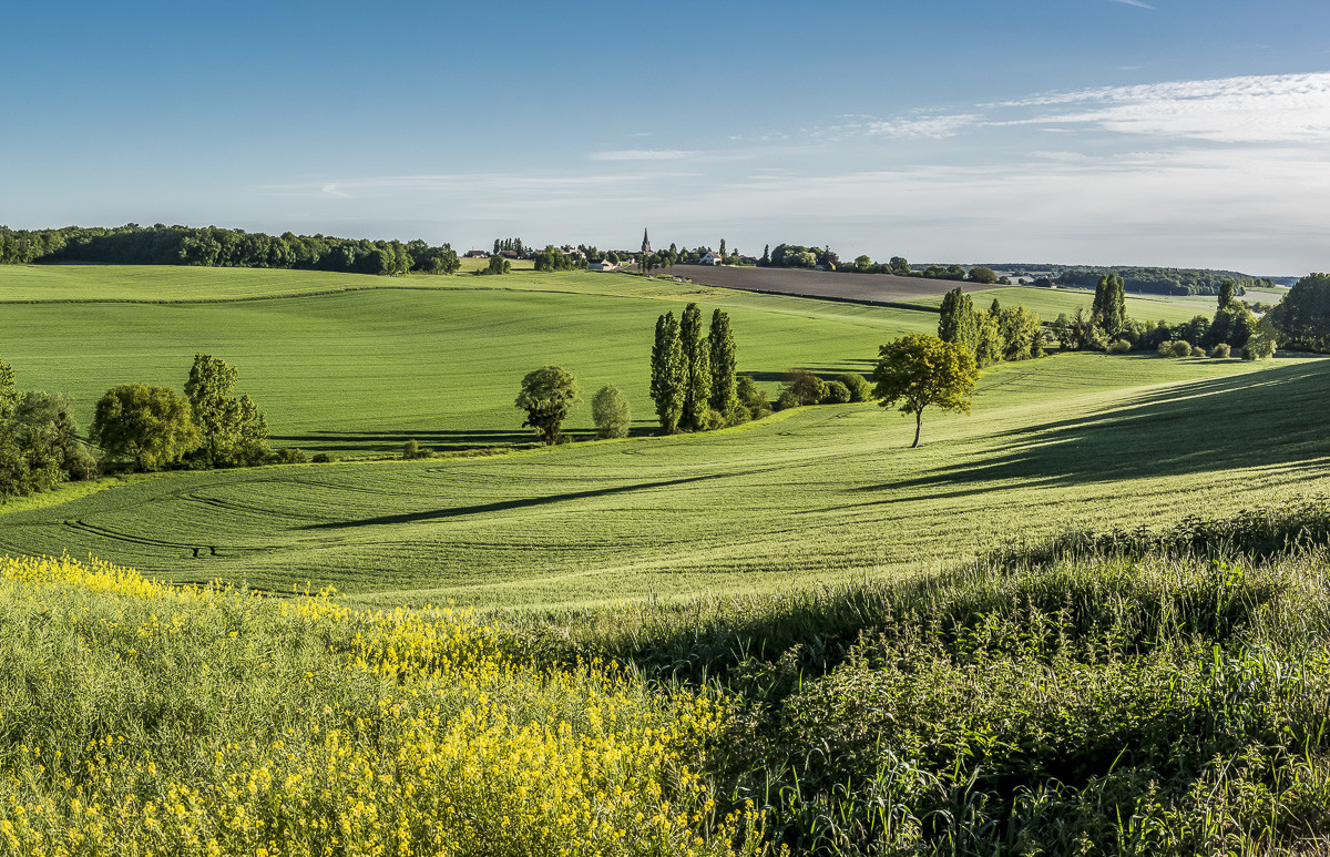 _DSC3425-Panorama-Modifier_web.jpg