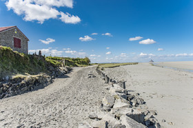 _DSC3510.jpg