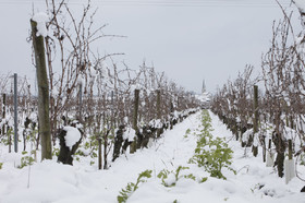 neige en Touraine