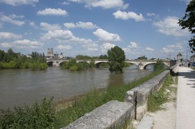 _D803147.jpg