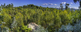 B0004320-Panorama_web.jpg