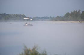 _DAR1145.jpg