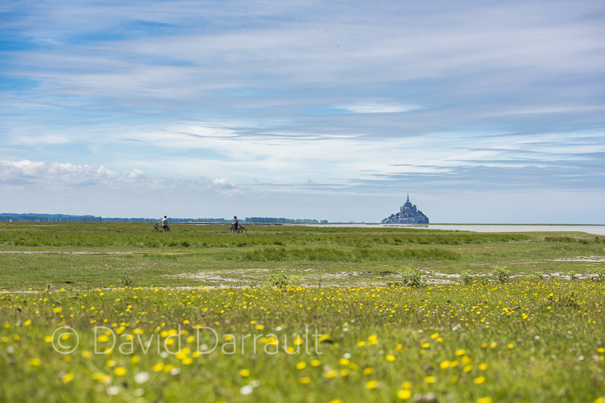 _DSC9907.jpg