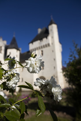 Fête des roses château du Rivau