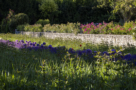 Fête des roses château du Rivau