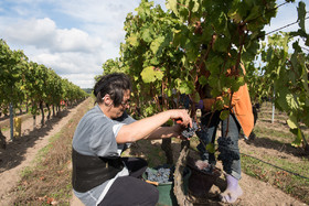 _DSC9088_web.jpg