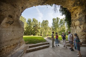 _DAR9146.jpg