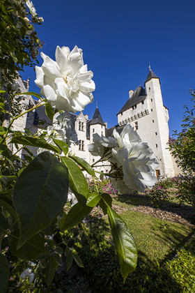 Fête des roses château du Rivau