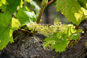 _DSC5526_web.jpg